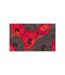 Papier Peint Coquelicots Plissés 270x450cm-2