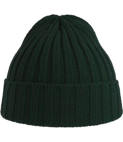 Atlantis Unisex Adult Shore Chunky Recycled Beanie (Bottle Green) - UTAB616