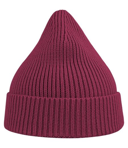 Atlantis Unisex Adult Andy Recycled Polyester Beanie (Burgundy) - UTAB559