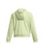 Sweat À Capuche Pro Femme Vert Under Armour-3