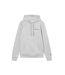 Mens Fleece Hoodie Grey Champion-1