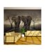 Papier Peint City of Elephants 270x450cm-1