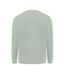 Unisex adult etosha recycled cotton lightweight sweatshirt iceberg green Iqoniq-2