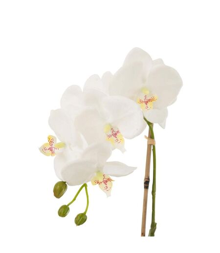 Fleur Artificielle Déco Orchidée en Terre 40cm Blanc
