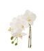 Fleur Artificielle Déco Orchidée en Terre 40cm Blanc-2