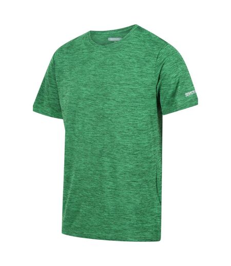 T-shirt fingal edition homme champ vert Regatta