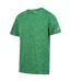 T-shirt fingal edition homme champ vert Regatta