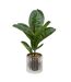 Ficus Artificiel en Pot Sky 54cm Vert & Argent-1