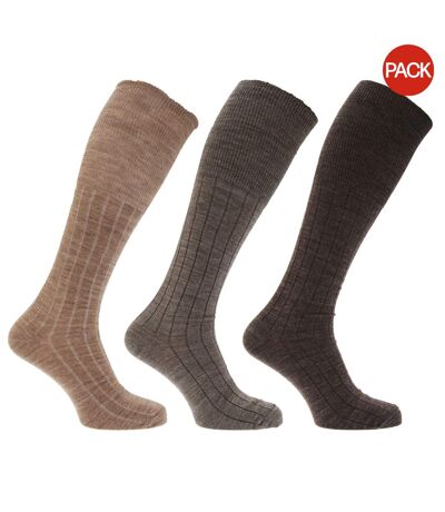 Chaussettes hautes striées homme marron Universal Textiles