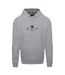 Mens Lettering Hoodie Grey Aquascutum-1