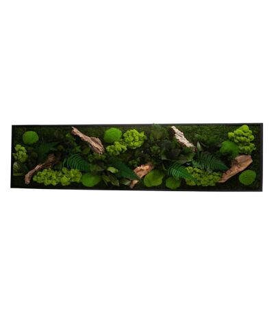 Tableau végétal stabilisé canopé Panoramic 115 x 25 cm