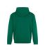 Sweat À Capuche Homme Vert Kelly PRORTX-2