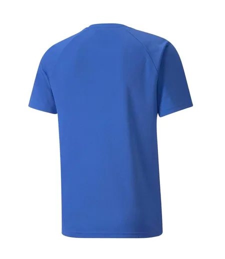 Mens Team Liga Striped T-shirt Blue Black White Puma