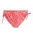 Animal - Bas de maillot de bain IONA - Femme (Rouge corail vif) - UTMW2522