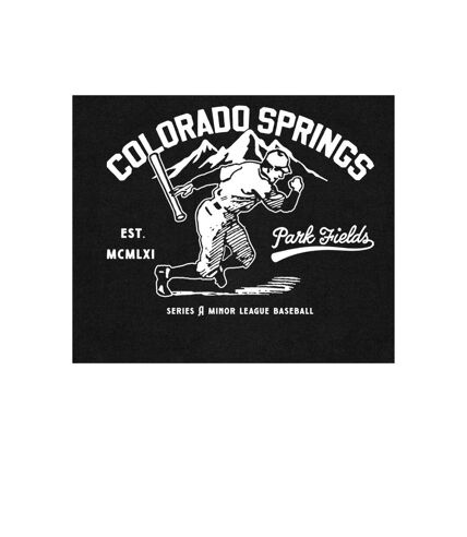 Park Fields - Sweat COLORADO SPRINGS - Adulte (Noir) - UTPN748