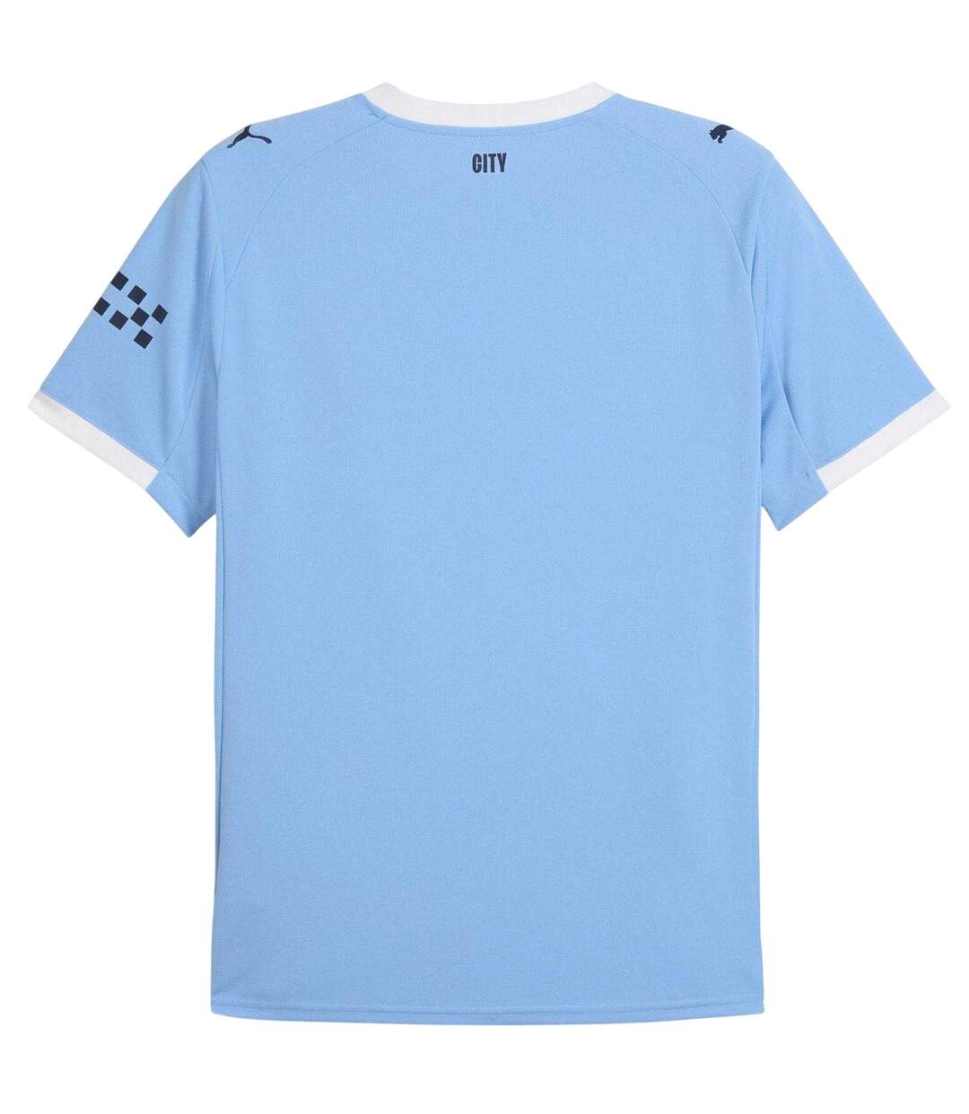 Mens 25/26 Manchester City Fc Home Jersey Blue Puma-3