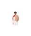 Mens Embroidered Logo Cotton T-shirt Orange Lacoste-1