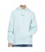 Sweat à Capuche Bleu Homme Guess Roy 2022 - L