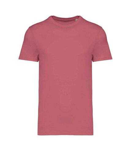 Native Spirit Unisex Adult Heavyweight Slim T-Shirt (Antique Rose) - UTPC5314
