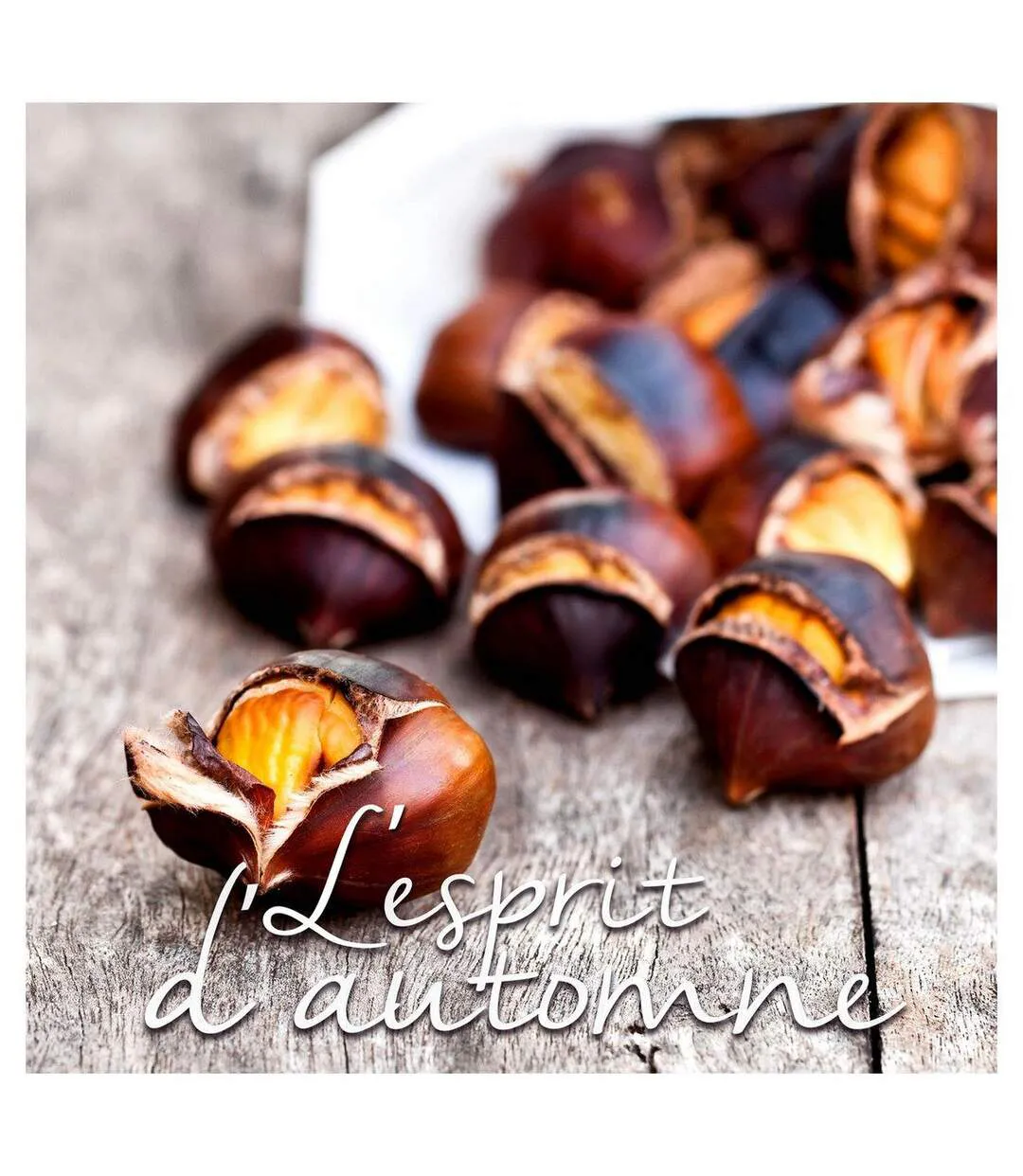 Lot de 20 Serviettes en Papier Marrons 33x33cm Naturel-1