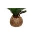 Plante Artificielle Palmier Cuba 55cm Vert-2