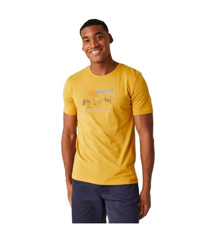 Regatta Mens Cline VIII Adventure Sunset T-Shirt (Gold Straw) - UTRG10689