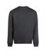 Sweat Vision Homme Charbon Uni Awdis-2
