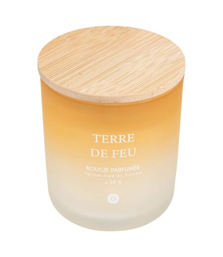 Bougie Parfumée en Verre Sana 255g Terre de Feu