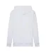 Mens Hooded Long-sleeved Tracksuit Set Light Grey Puma-4