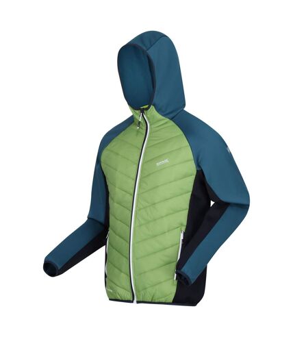 Veste hybride andreson homme vert piquant / bleu sarcelle foncé Regatta