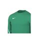 Maillot De Gardien De But Manches Longues Park Homme Vert Nike-3