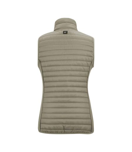 Veste Hybride Sans Manches Andreson Femme Gris Regatta