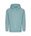 Sweat à capuche college adulte turquoise Awdis