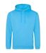 Sweat À Capuche College Adulte Bleu Hawaïen Awdis-1