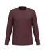 T-shirt Adulte Pourpre Pourpre Native Spirit-1