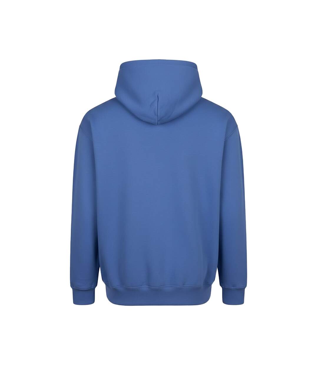 Sweat À Capuche Vision Homme Bleu Vif Awdis-2
