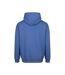 Sweat À Capuche Vision Homme Bleu Vif Awdis-2