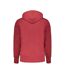 Sweat à capuche Rouge Homme Calvin Klein Jeans Disrupted J30J325429 - L