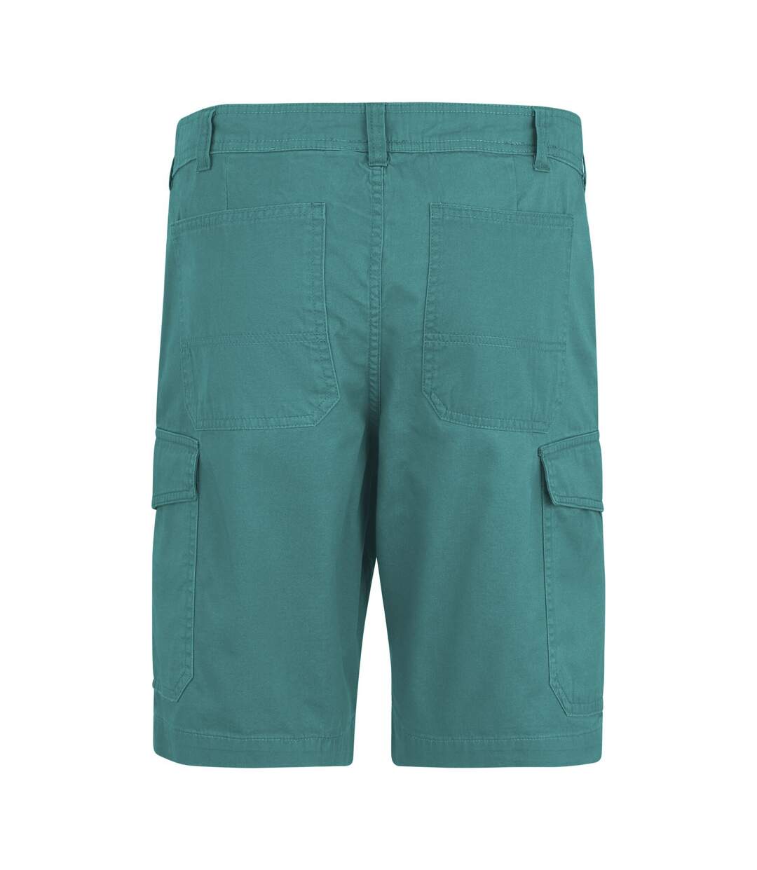 Mens Ruwan Casual Shorts Arctic Regatta-3