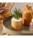 Plante Artificielle en Pot Sao 17cm Marron-4