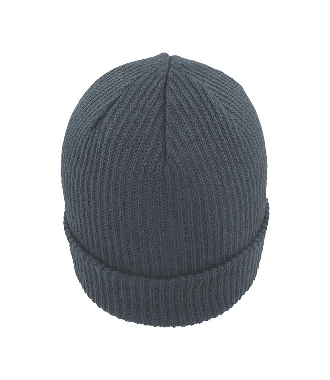 Atlantis Skate Beanie (Gray) - UTAB479-2