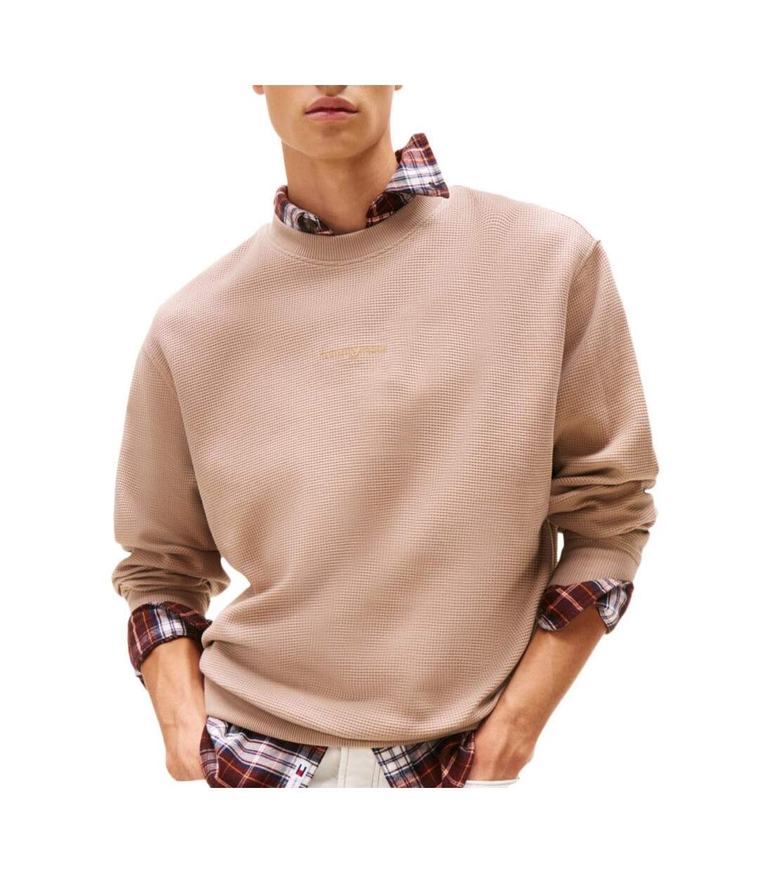 Sweat marron homme tommy hilfiger dm0dm21622-1
