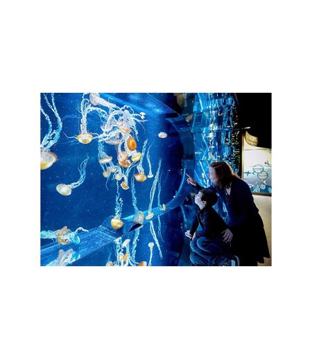 Sortie en famille : entrées pour 2 adultes et 2 enfants à l'aquarium Nausicaá en basse saison - SMARTBOX - Coffret Cadeau Sport & Aventure