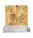 Papier Peint Golden Clouds 50x1000cm-1