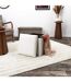 Coffre pouf collection VICTOR-2