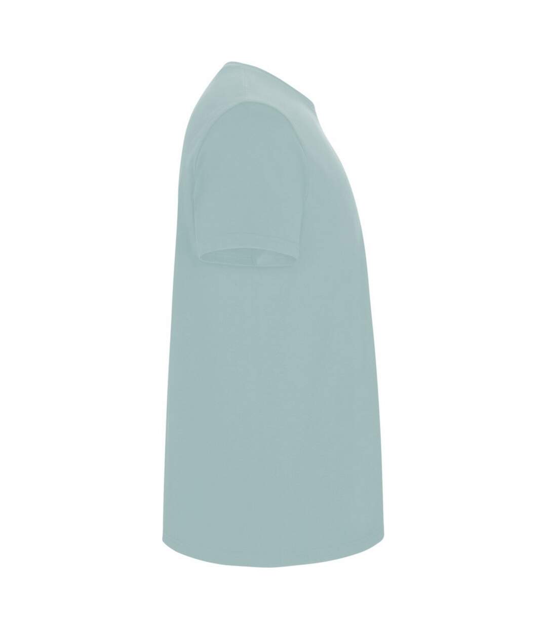 Mens stafford t-shirt washed blue Roly-4