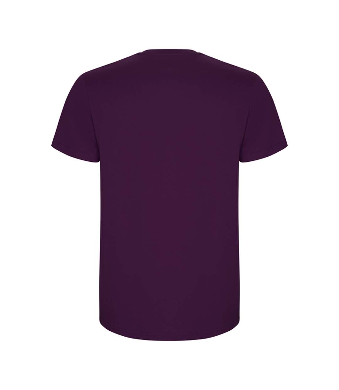 T-shirt Stafford Homme Violet Roly-2