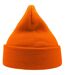 Atlantis Unisex Adult Wind Recycled Cuffed Beanie (Orange) - UTAB617