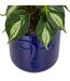 Plante Artificielle en Pot Soleya 30cm Bleu-2