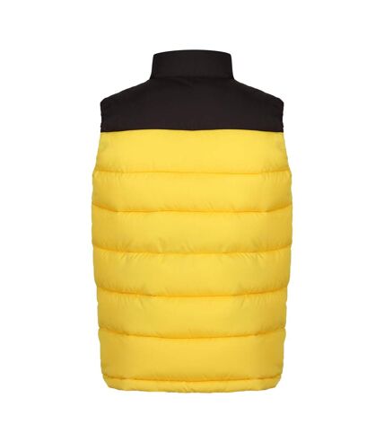 Regatta Mens Vintage Colour Block Vest (Solar/Black)